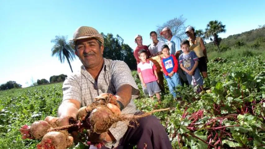 Edital ATER Bahia Sem Fome terá R$ 225,6 milhões em investimentos para agricultura familiar