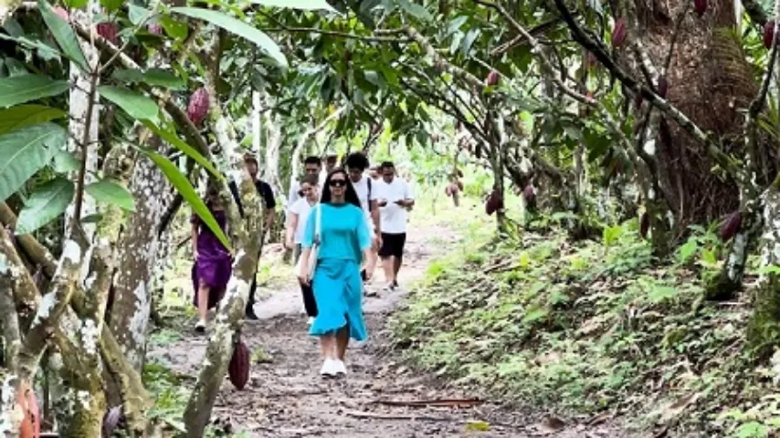 Chocolat Bahia 2024: jornalistas brasileiros e internacionais visitam Itacaré