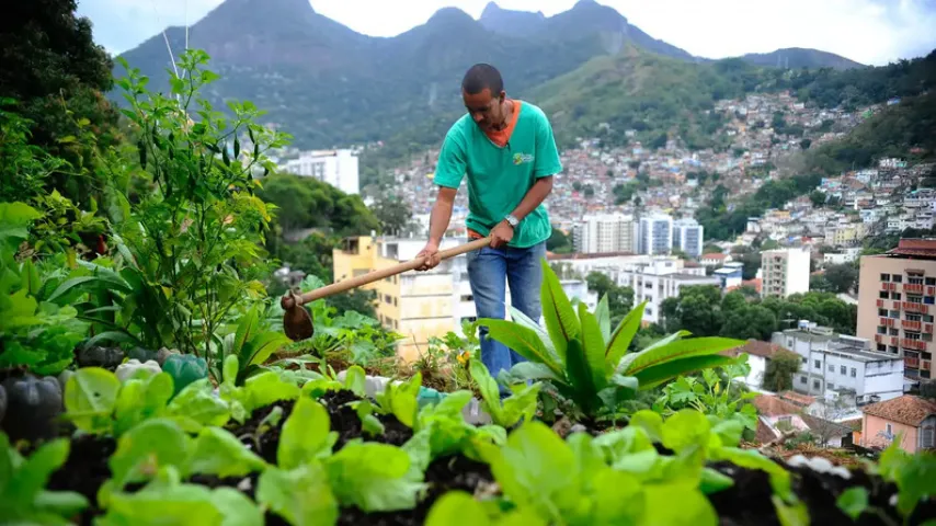 LEI INCENTIVA PRODUÇÃO DE ALIMENTOS NAS CIDADES