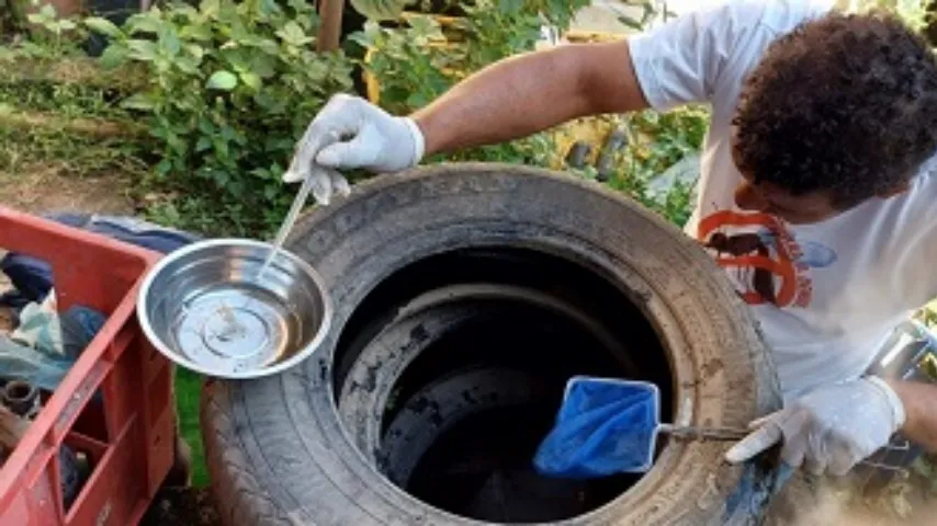 Prefeitura mantém ações de prevenção mesmo com situação estável nos casos de dengue em Itabuna