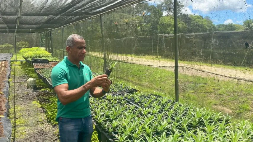 BIOFÁBRICA E EMBRAPA DIFUNDEM NOVO PROTOCOLO DE PROPAGAÇÃO DE ABACAXIZEIRO